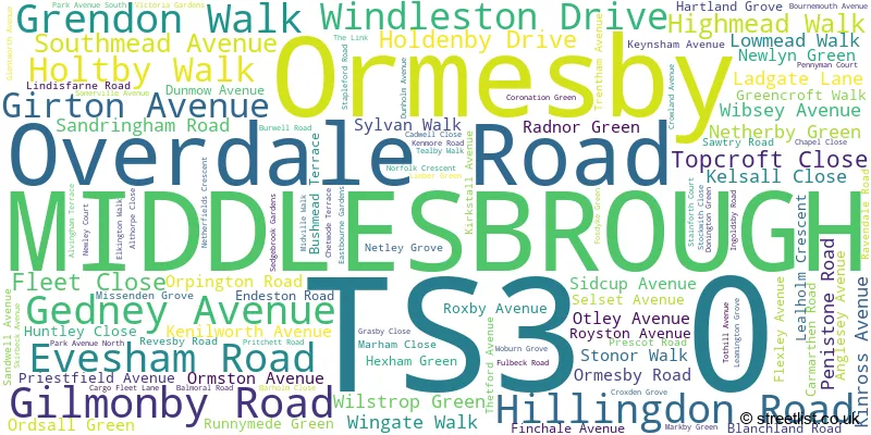 A word cloud for the TS3 0 postcode